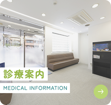 診療案内 MEDICAL INFORMATION